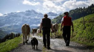 Honoré par tous, compris par personne: le paysan, par Frédéric Recrosio