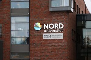 Universitetene må sertifisere forskningskompetanse – ikke tekstproduksjon