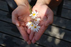 Judaism’s Social Vision (Re’eh, Covenant & Conversation)