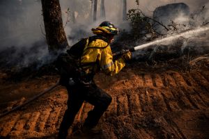 Man suspected of 'recklessly' starting massive Gann Fire arrested