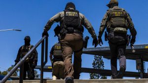 The Chaos and Cruelty of ICE