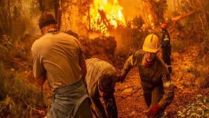 Fire without borders