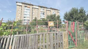 Livorno, addio orti urbani in via Goito: c'è la firma del giudice per lo sgombero – Cosa succede ora