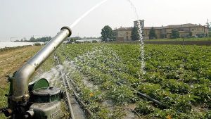 Il Consorzio di bonifica Piave raziona l’acqua per irrigare