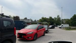 Pordenone, nuove linee guida per il diserbo in città: interventi programmati e prodotti ecologici