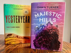 Heidi Stevens: Two summer reads that invite us to glimpse behind the facade of a carefully curated world