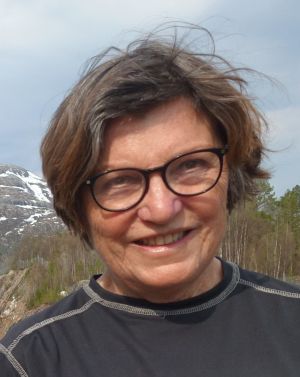 Politikere på ville veier