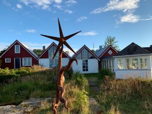 Hva nå, Tranøy?