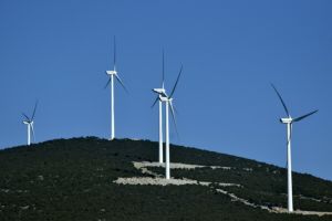 Πώς κατάφερε η κυβέρνηση να στρέψει έναν ολόκληρο λαό εναντίον μιας πολύτιμης...