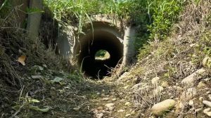 Il Consorzio di bonifica Brenta lancia l’allarme: «Tra cinque giorni l’acqua sarà finita»