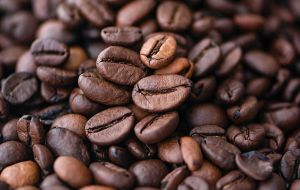 Up To 5 Cups Of Coffee A Day Is Safe And May Help Your Heart, American Heart Association Says