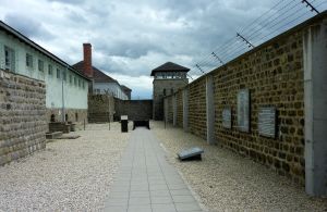 What Are Memorials For? A Shirt at Mauthausen