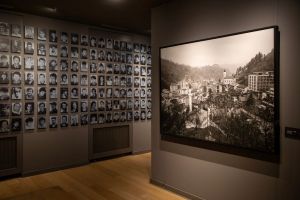 Do the Voices of Victims of Mass Atrocities Make a Difference?