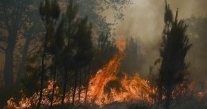 Stop Blaming the Climate for Wildfires We Can Prevent