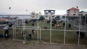 Yangın yerinde kapıyı kim açacak?