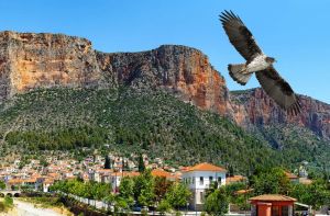 Λεωνίδιο: Αλαζονεία προς τη φύση ο φωτισμός του Βράχου