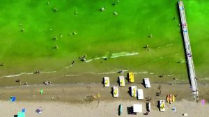 Il mare Adriatico a 31 gradi: in acqua fa caldo come alle terme
