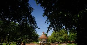 Man arrested after alleged sexual assault in Norwich park due to answer bail