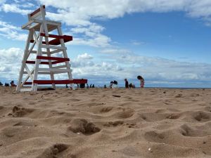 JOCELYNE LLOYD: Experiencing P.E.I. like a tourist
