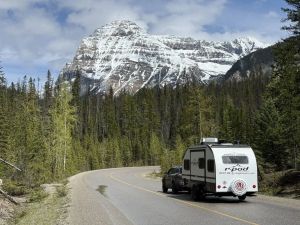 Opinion: Canada is worth your wildhood