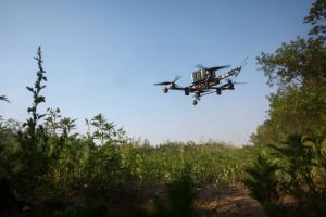 Τα drones πήγαν… παραλία