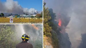 Vasto incendio tra Monfalcone e Duino: chiusa la statale 14, le fiamme vicine alla ferrovia