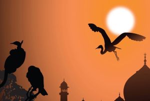 Introducing the Article Series 'Indian IR Meets Global IR'