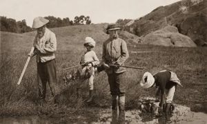 HISTORY: FEEDING THE BUREAUCRACY