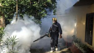 Era positiva alla Dengue, la paziente è guarita