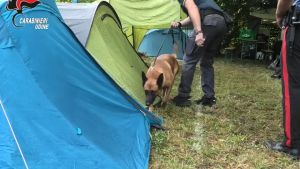 Festa di Vernasso, controlli dei carabinieri con il cane: droga nei campeggi e cinque automobilisti ubriachi