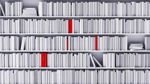 Who gets to decide what belongs in school libraries?