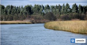 Infraestructura que nos protege: la mejor defensa de nuestras ciudades es la naturaleza