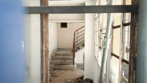 Picchiata in via Svevo a Trieste, la madre alle istituzioni: «Aiutate mia figlia e portatela in comunità»
