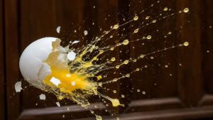 'Egg therapy' goes global? Kosovo Opposition MP throws eggs at PM inside Parliament