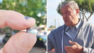 Livorno, dopo tre anni nessun colpevole per lo sparo alla bambina nel parco