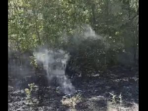 На косъм от голяма трагедия! Мигранти подпалиха историческата местност „Петрова нива“, 10 души се борят със стихията