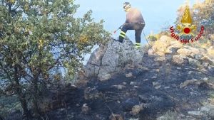 Incendio sulla Napoleonica, il Corpo forestale derubato durante i lavori di spegnimento