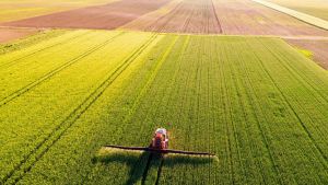 How to Counter China’s Weaponization of US Food Security