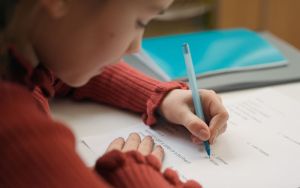 NAPLAN lets governments claim the gains and blame schools for the failures