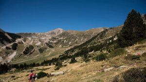 Esquí i natura a l'alta vall del Ter