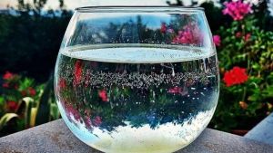Una ciotola e del riso crudo: come si prepara l’acqua di San Lorenzo, il rito d’agosto che porta soldi e prosperità