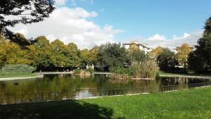Notte di San Lorenzo, a Villa Vogel musica e l'osservazione del cielo
