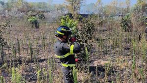 Incendio nel Parco del Ticino, bruciati circa 10mila metri quadrati di vegetazione