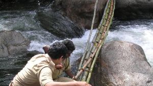 വാതിലിനുമുന്നിൽ വരിവച്ച് പോകുന്ന വെള്ളത്തുള്ളികൾ; ആ രാത്രിയിൽ ഫോറസ്റ്റർക്ക് എന്താണ് സംഭവിച്ചത്?