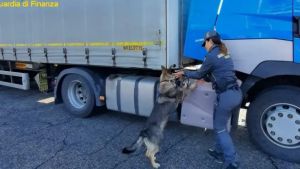 Frode sui carburanti, il caso parte dal Friuli: 427 mila litri sequestrati e oltre 1,6 milioni di euro contestati