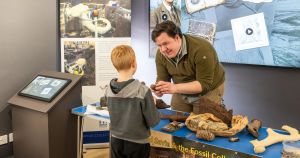 Norfolk palaeontologist’s century-old finds to feature in new hands-on fossil gallery