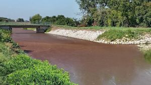 Il canale si tinge di rosso: l’allarme sui social e la risposta degli esperti