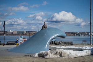 In Nova Scotia, the arts are under attack. Without them, the province is poorer in every way