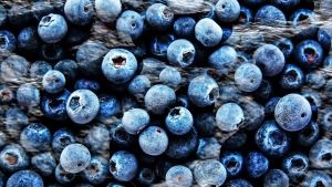 Blueberry Recall Expands to More Products Sold at Publix as E. coli Outbreak Hospitalizes 4 People