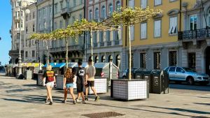 Piante da arredo nel centro città: «Fa troppo caldo e questi sono solo alberi in scatola»